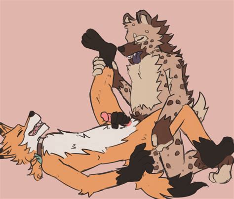 Rule 34 Absurd Res Anthro Balls Belly Brown Body Brown Fur Canid