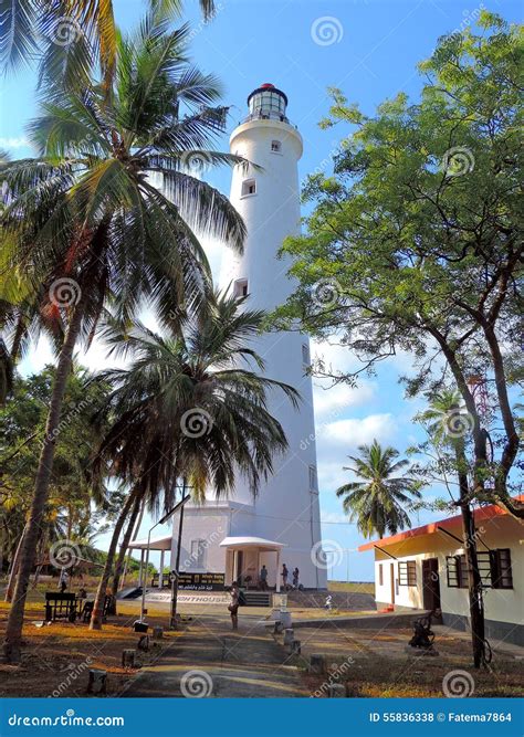 Lighthouse At Minicoy Island Stock Photo Image Of Marine Trees 55836338