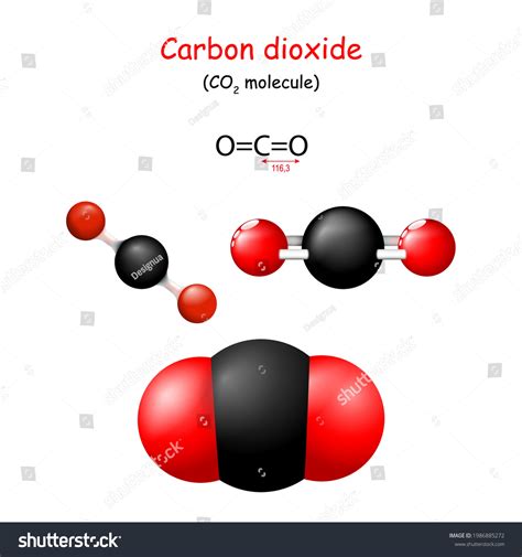 Carbon Dioxide Structural Chemical Formula Co2 Stock Vector Royalty