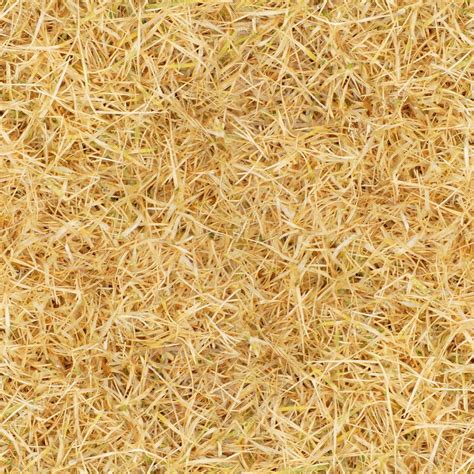 Tile Seamless Yellow Grass Texture — Stock Photo © Oleksandr 4540315