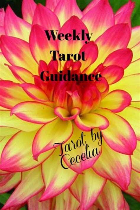 Weekly Tarot Guidance August 1 Through 7 2016 Tarot By Cecelia