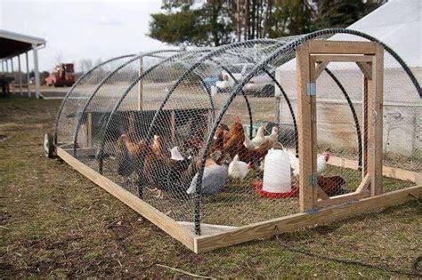 Jika ada yang ponteng, maka siaplah untuk menerima hukuman disumbat ke reban ayam. Inspirasi reban ayam. | Berkebun di kota, Kandang ayam ...