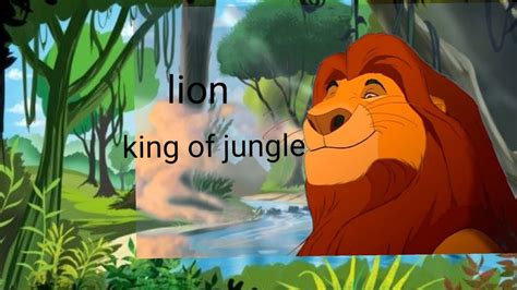 King Of Jungle Lion Youtube