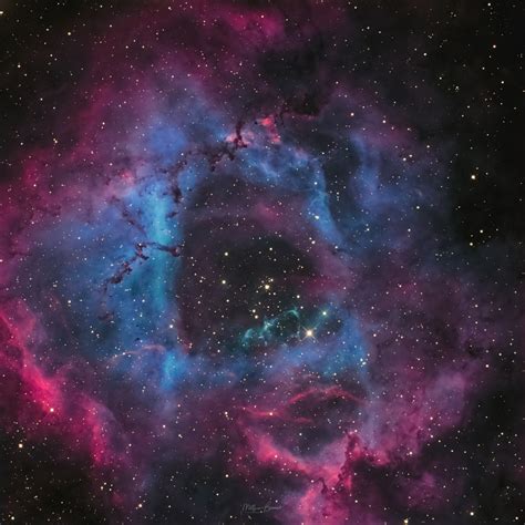 Rosette Nebula Telescope Live