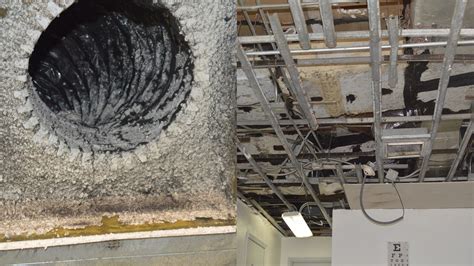Mold Infests Miami Federal Correctional Institution Prison Photos Show