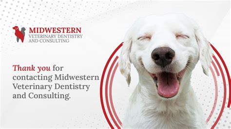 Thank You Midwestern Veterinary Dentistry