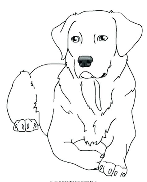 Lab Dogs Coloring Pages At Free Printable Colorings