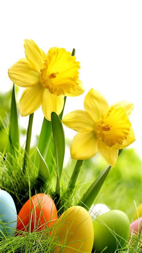 1000 Images About Easter On Pinterest Easter Centerpiece Daffodils