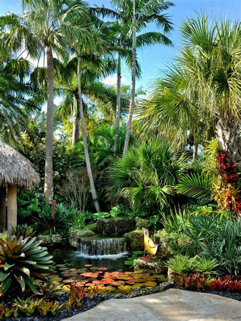 Tropical Garden Houzz