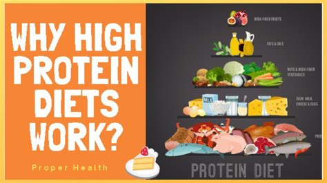 Why High Protein Diets Work Everything You Need To Know About Low Carb High Protein Diets Youtube