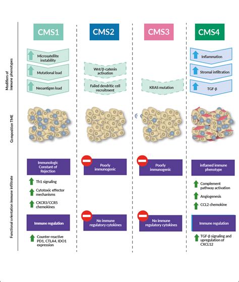 Targeting The Tumor In Colorectal Cancer Where Do We Stand With