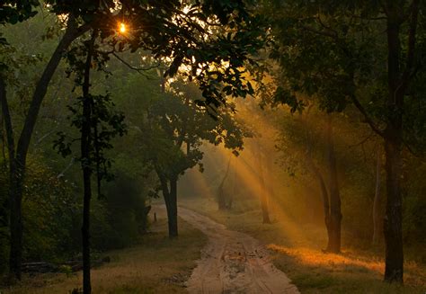 The Guide Bandhavgarh National Park Roundglass Sustain