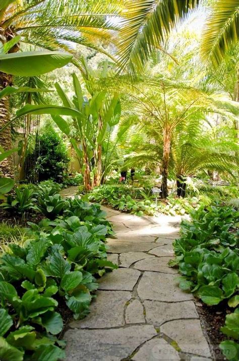 15 Coolest Beautiful Gardens With Tropical Plants Pathway Landscaping