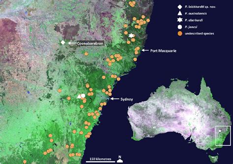 Map Showing Locality Of Pseudotyrannochthonius Leichhardti Sp Nov