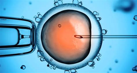 Dna Surgery On Embryos Removes Disease For 1st Time