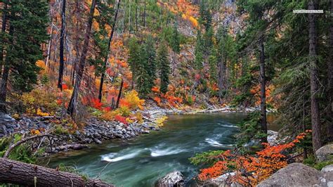 Rushing River In Autumn Forest Autumn Nature Forests Rivers Hd