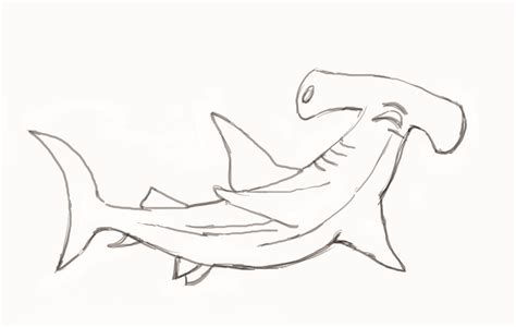 How To Draw A Hammerhead Shark Step By Step Shark Drawing Shark