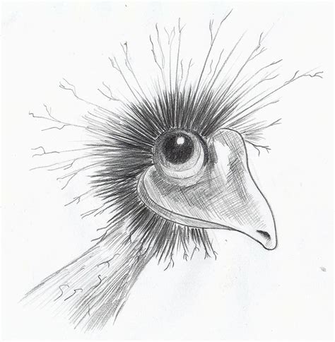 Emu by gregchapin on deviantart. Weekly : Doodles and tuts: Drawspace lesson N04: How to ...