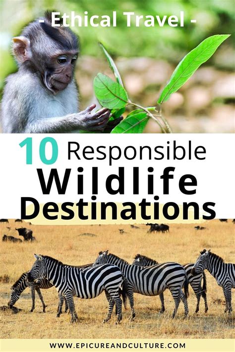 10 Ethical Wildlife Vacations For Animal Lovers