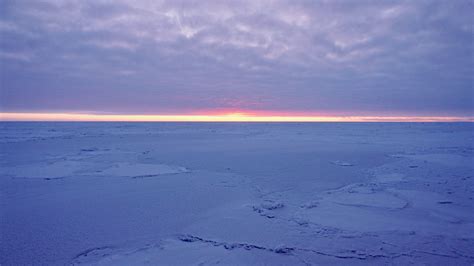 Whro Studying The Ripple Effects Of Shrinking Arctic Sea Ice