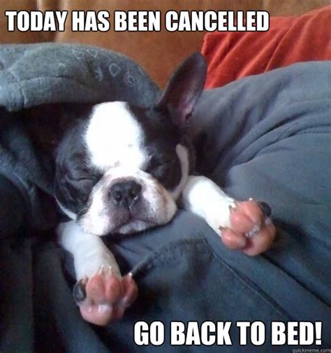 Today Has Been Cancelled Go Back To Bed Cancellation By Punkinhead