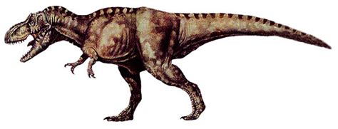 Tyrannosaurus rex was a large carnivore; Clipart Panda - Free Clipart Images