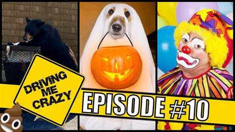 Halloween Hijinks Driving Me Crazy Podcast 10 Youtube