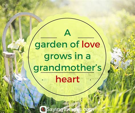 30 Sweet Grandma Quotes Dedicated To All Grandmothers SayingImages
