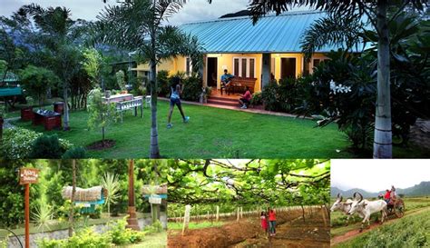 Top 5 Mind Blowing Farmstays In India For A Refreshing Break Page 2 Of 2 Newsmem