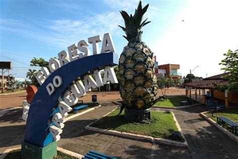 Floresta Do Araguaia Ansiosa Pelo 28º Festival Do Abacaxi Correio De Carajás