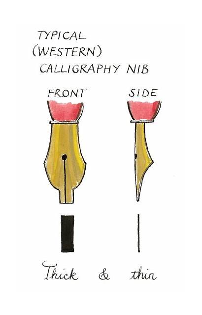 Calligraphy Nib Write Thick Thin Western Skills