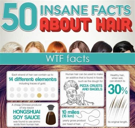 50 Insane Facts About Hair Infographic Barnorama