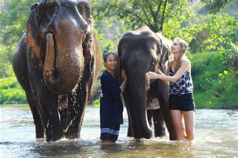 Elephant Sanctuary Chiang Mai And Waterfall Visit All Inclusive