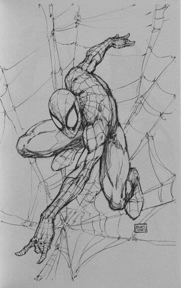 Spider Man By Michael Turner Spiderman Drawing Spiderman Art Sketch