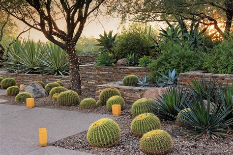 15 Amazing Desert Landscaping Ideas Green And Vibrant