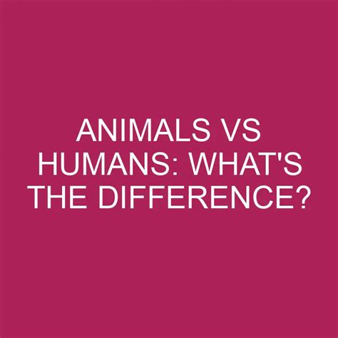 Animals Vs Humans Whats The Difference Differencess