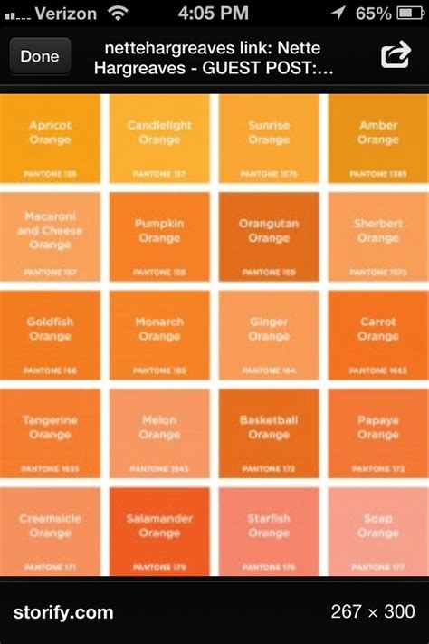 All Shades Of Orange Pantone Orange Orange Color Palettes Orange