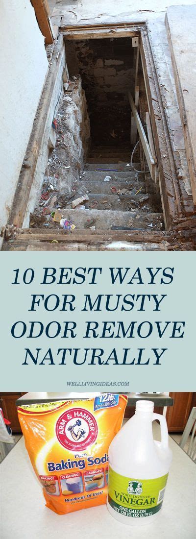 Best Ways For Musty Odor Removal Naturally These Are Effective Household Ten Ways To Remove