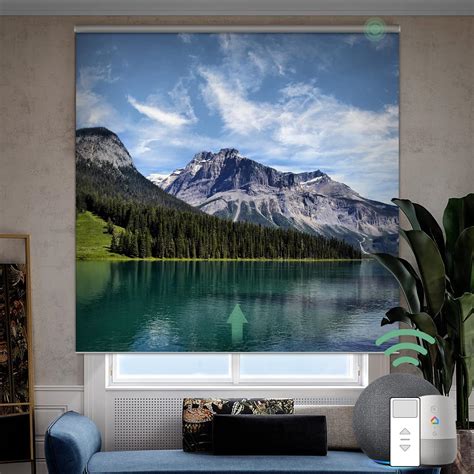 Amazon.com: Yoolax Motorized Roller Shade with Picture, Blackout Smart