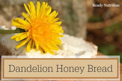 Dandelion Honey Bread Ready Nutrition