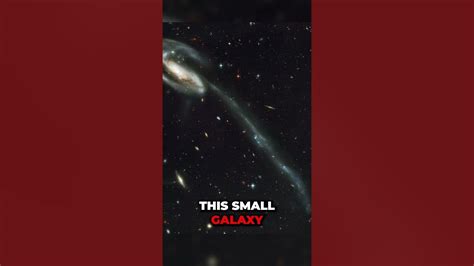 When Galaxies Collide The Tadpole Galaxys Distorted Form Shorts