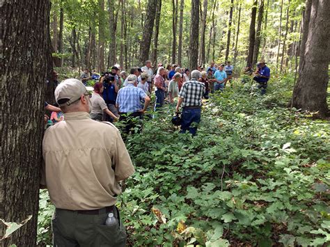 Hey, i was born in gravel switch; Tree Farmer of the Year shows off well-managed woodlands ...