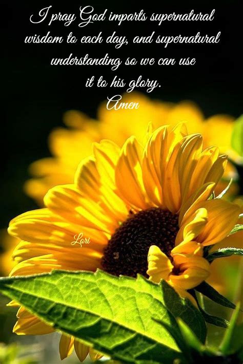 Pin By Dorinda Diehm On Blessings Sunflower Pictures Jesus Loves Us