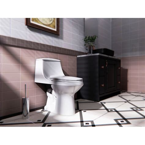 Project Source Laporte Dual Flush White Dual Elongated Chair Height