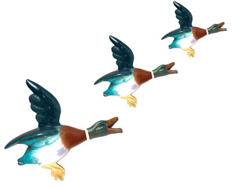 Free Flying Duck Cliparts Download Free Flying Duck Cliparts Png