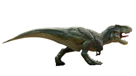This guy looks fierce and my two boys fight over him all the time. Vastatosaurus Rex Toy - Wow Blog