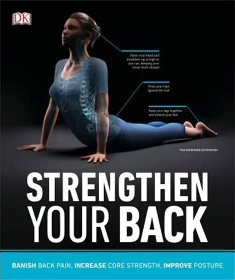 Strengthen Your Back Exercises To Build A Better Back And Improve Your