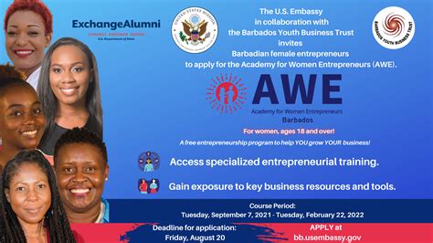 Apply For The Academy For Women Entrepreneurs Awe Barbados Program
