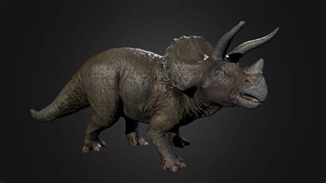 Triceratops Photogrammetry Test Download Free 3d Model By Nick G