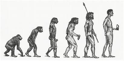 Homo Sapiens Appear Prehistory Timeline Human Evolution